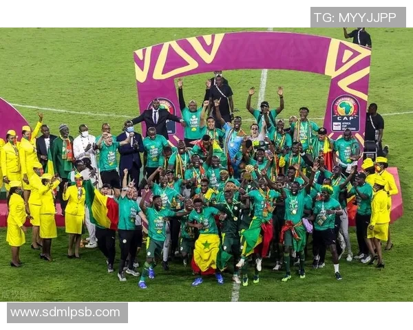 巴西与喀麦隆对决前瞻大名单分析与球员状态评估 巴西与喀麦隆对决前瞻大名单分析与球员状态评估