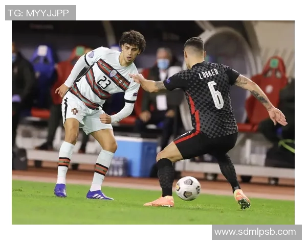 葡萄牙与克罗地亚激战回顾球员表现与战术分析的深度思考