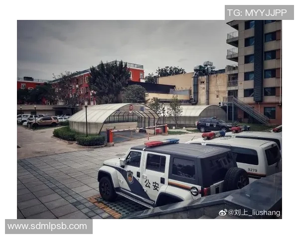 重庆极限运动队的战术分析与控制打法深度解读 重庆极限运动队的战术分析与控制打法深度解读