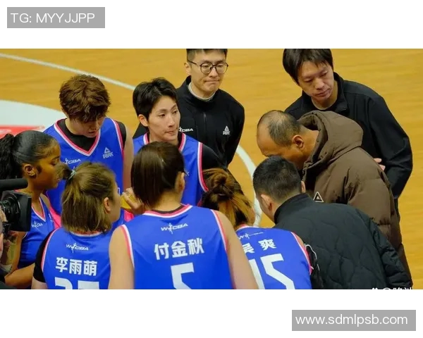 季后赛首轮激战北京队对决辽宁队争夺晋级资格